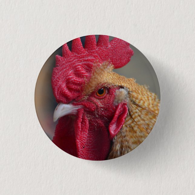 Rooster Chicken 1 Inch Round Button (Front)