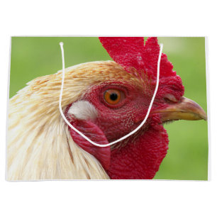 rooster, chicken, animal, bird, design, farm, large gift bag