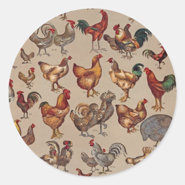 Rooster Chicken Farm Country Animal Classic Round Sticker (Front)