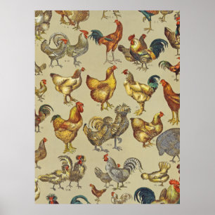 Rooster Chicken Farm Country Animal Poster
