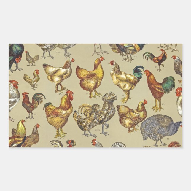 Rooster Chicken Farm Country Animal Sticker (Front)