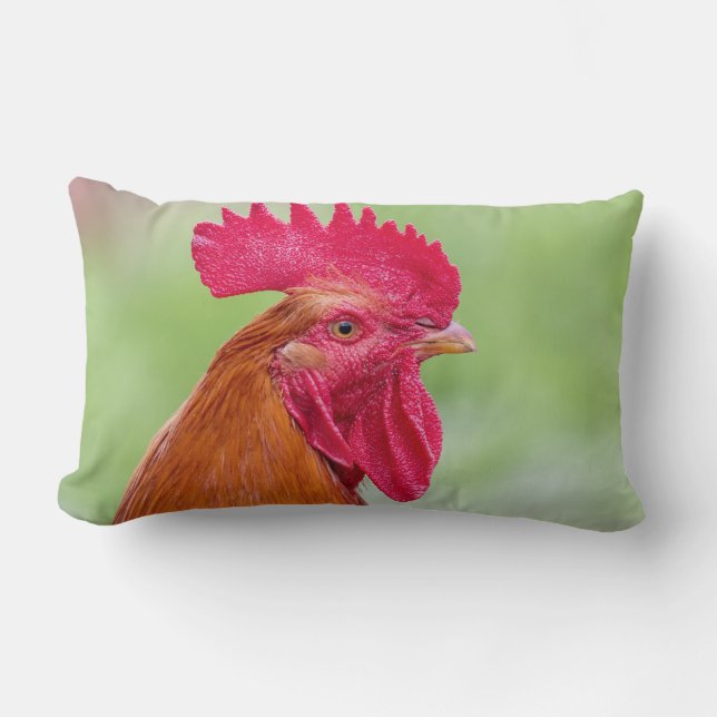Rooster & Chicken Lumbar Pillow (Front)