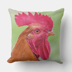 Rooster & Chicken Outdoor Pillow