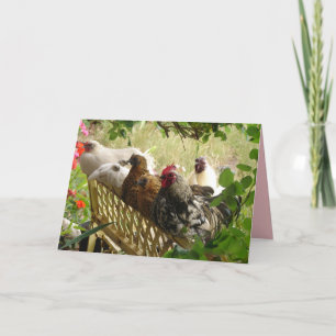 Rooster Chickens Happy Birthday from Us All Card