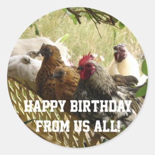 Rooster Chickens Happy Birthday from Us All Card Classic Round Sticker