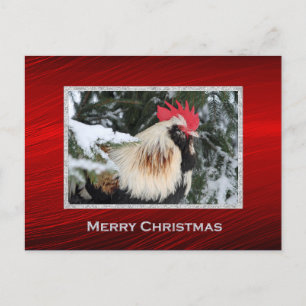 Rooster Christmas Postcard