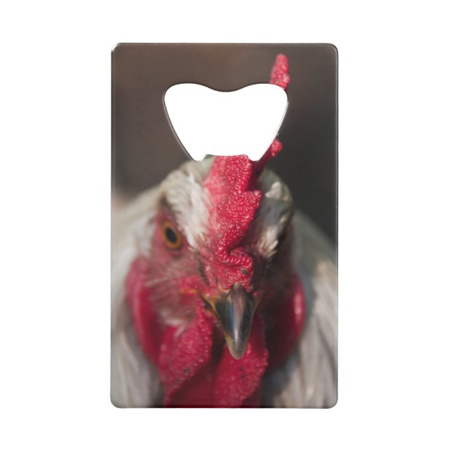Rooster close up portrait wallet bottle opener (Front)