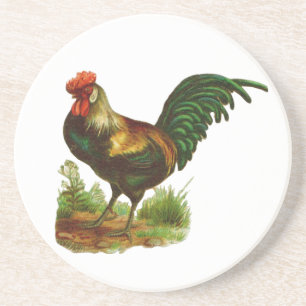 Rooster Coaster