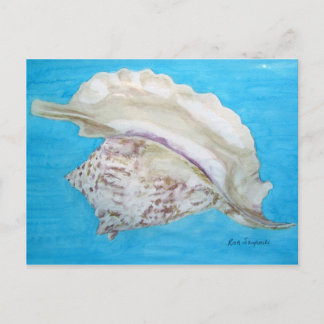 Rooster conch postcard