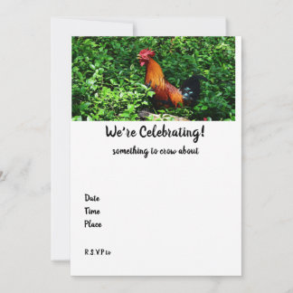 Rooster Crowing