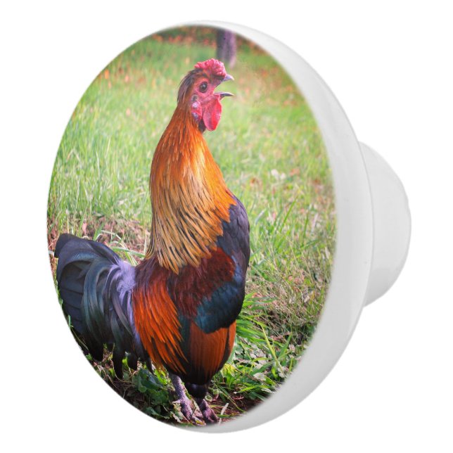 Rooster Crowing Farm Animal  Ceramic Knob (Right)