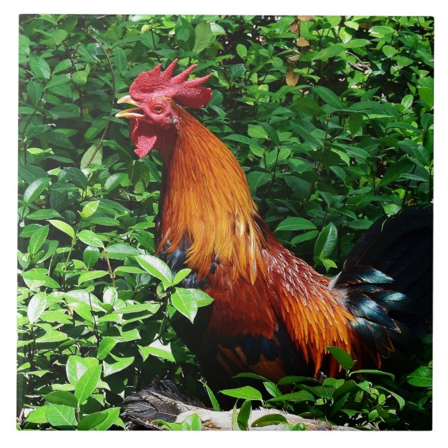 Rooster Crowing Tile (Front)