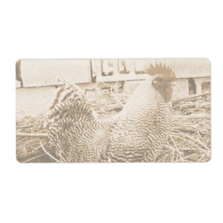 Rooster de style vintage