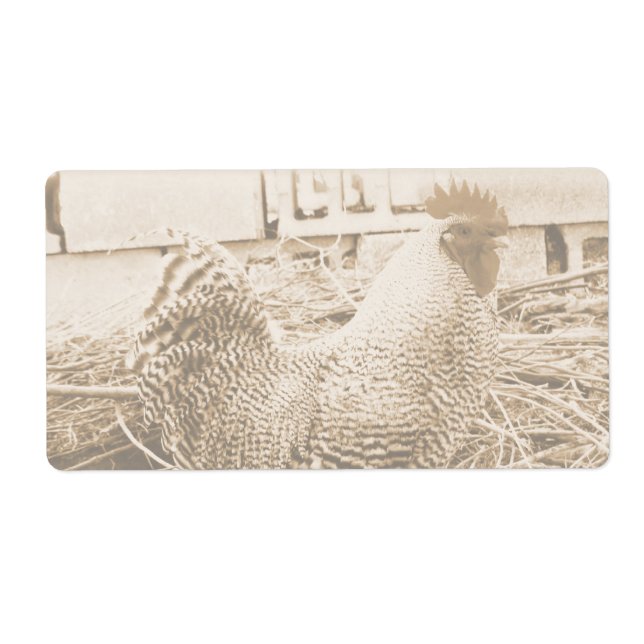 Rooster de style vintage (Devant)