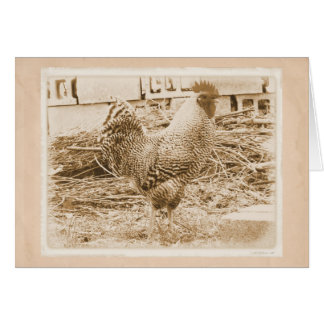 Rooster de style vintage