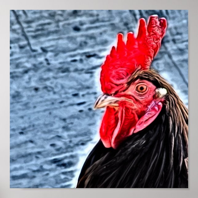Rooster Digital Art Poster (Front)