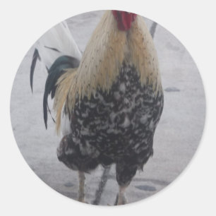 Rooster Doodle Doo Classic Round Sticker