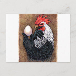 Rooster Egg Drawing Chicken Philosopher Postcard