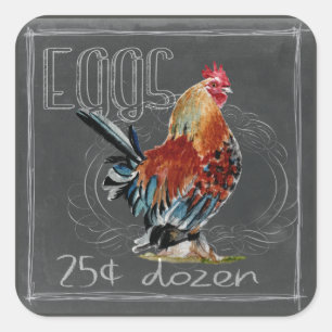 Rooster Eggs On Chalkboard Square Sticker