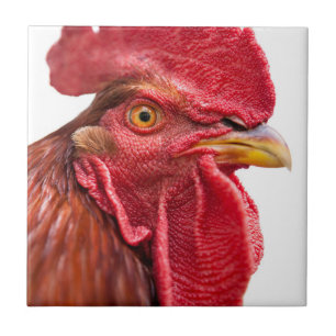 Rooster Face Tile
