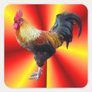 Rooster flash square sticker