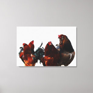 Rooster Gang Chicken Photographic Art Canvas Print