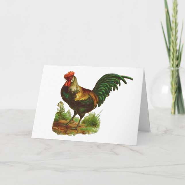 Rooster Greeting Card (Front)