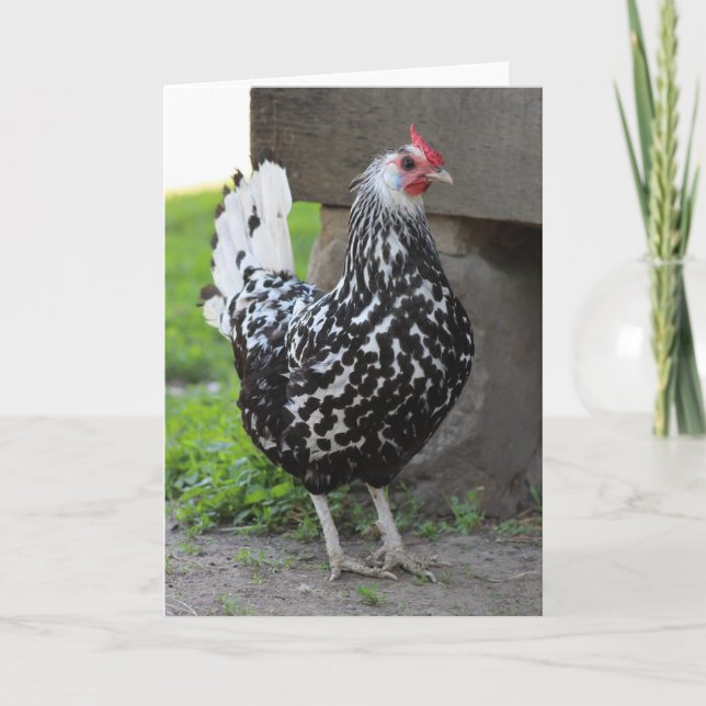 Rooster greeting card (Front)