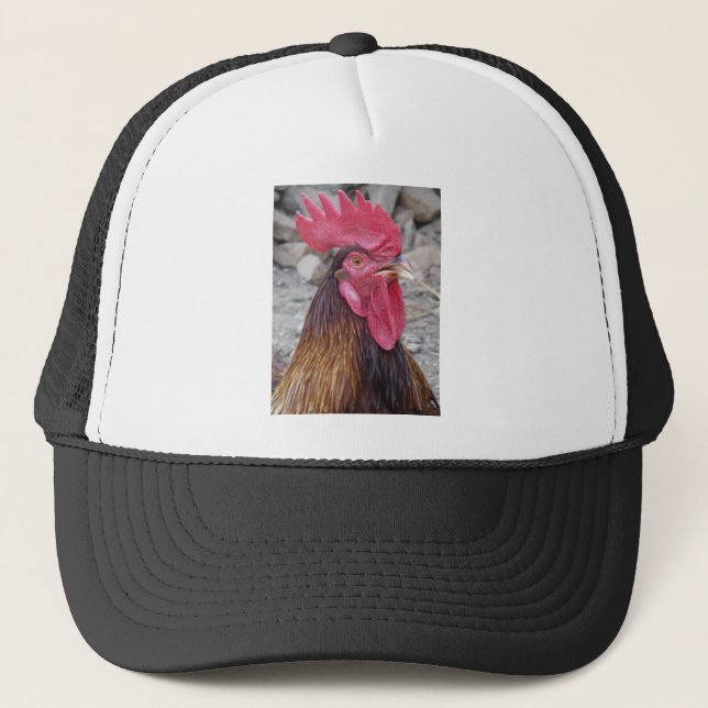 Rooster Hat (Front)