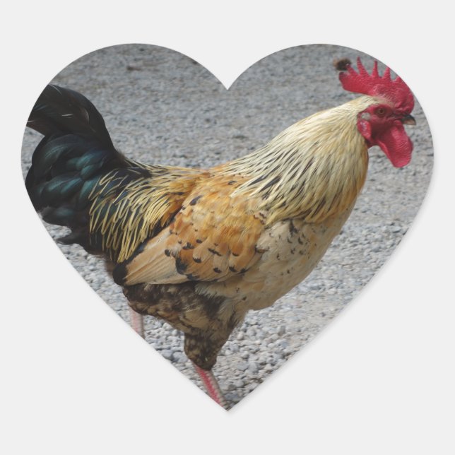 Rooster Heart Sticker (Front)