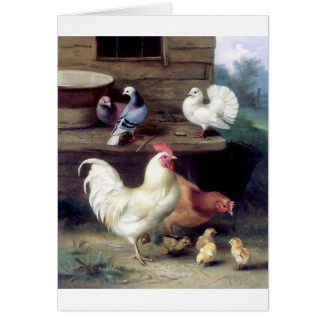 Rooster Hen Chicken Doves (Front)