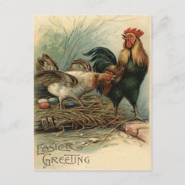 Rooster Hen Easter Coloured Painted Egg Nest Holiday Postcard (Front)