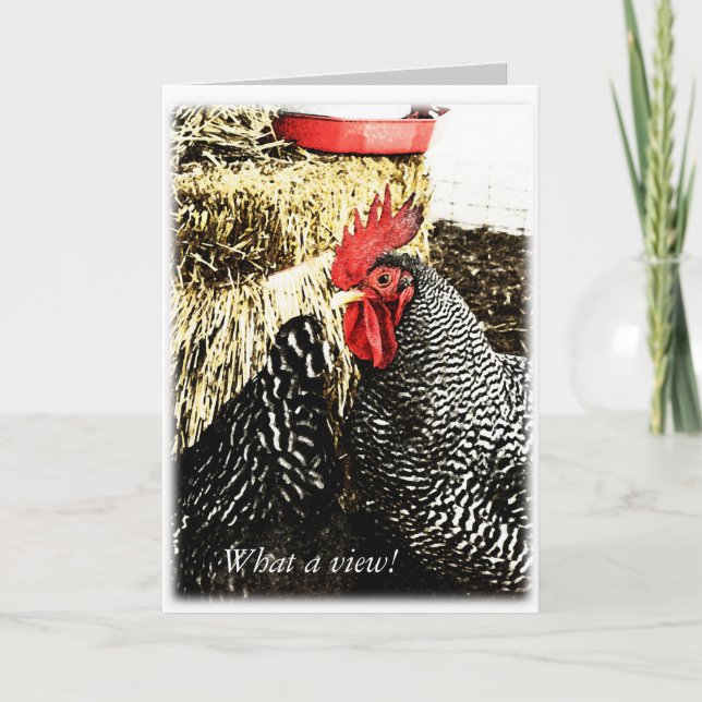 Rooster + Hen Tail, Funny Greeting Card (Front)