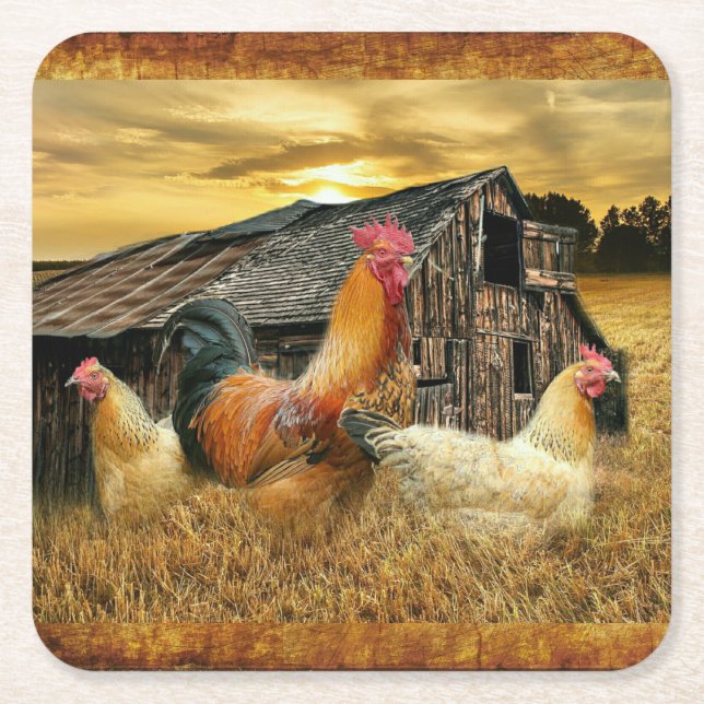 Rooster Hens Rustic Barn Coop Square Paper Coaster (Front)