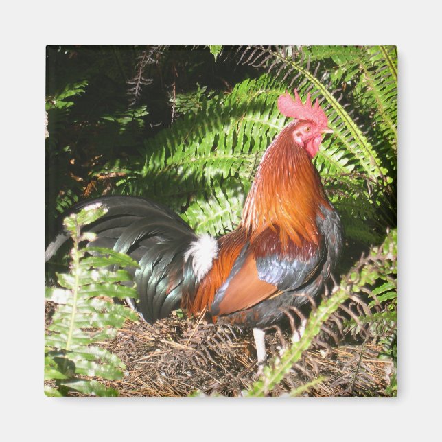 Rooster In The Leaves Magnet (Front)