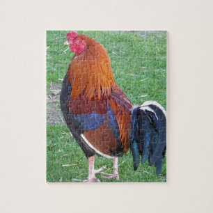 Rooster Jigsaw Puzzle