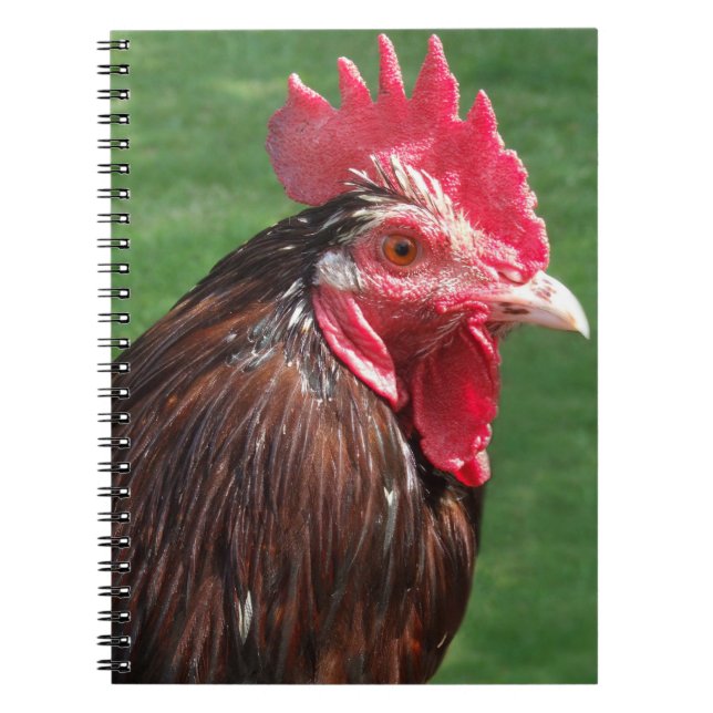 Rooster Journal (Front)