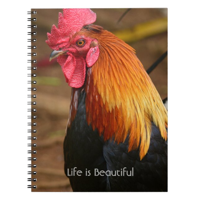 Rooster Kauai (my photography) Notebook (Front)