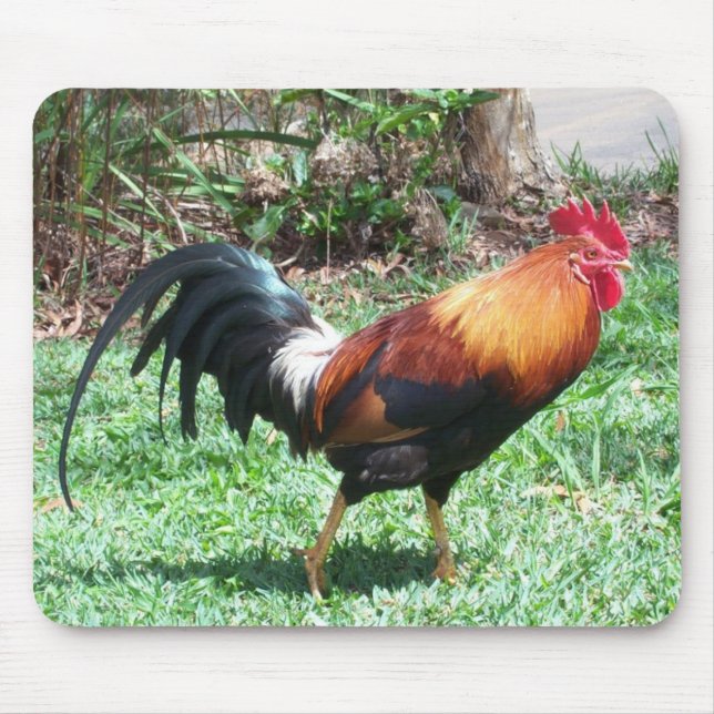 Rooster Mousepad (Front)