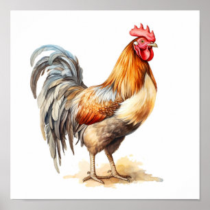 Rooster Neutral Colours Watercolor Painting Poster