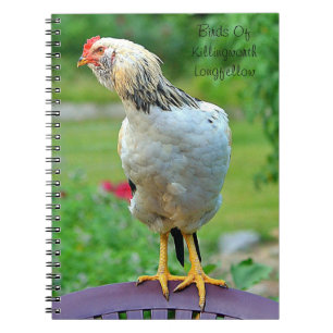 Rooster Notebook
