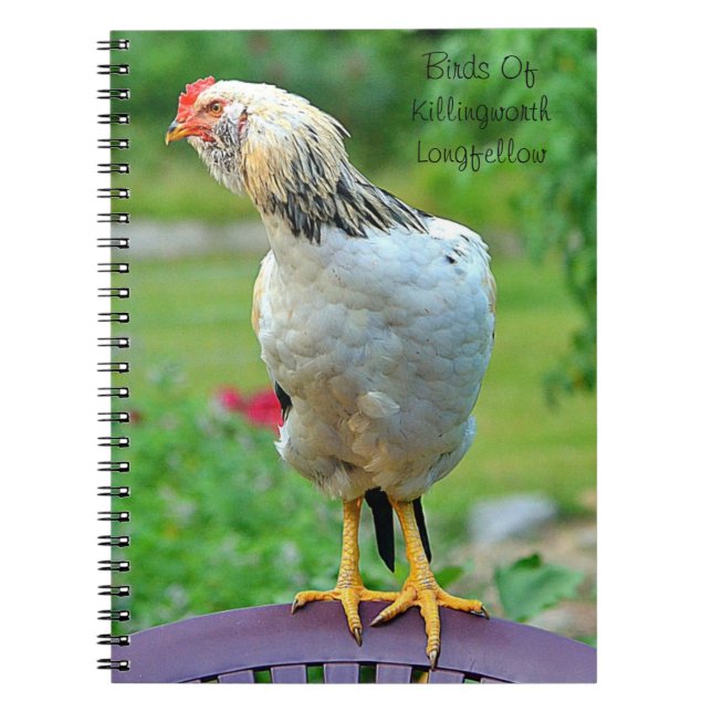 Rooster Notebook (Front)
