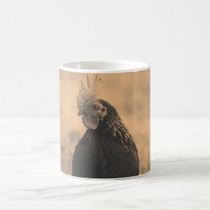 Rooster Portrait Coffee Mug