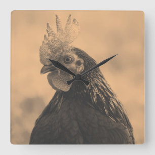 Rooster Portrait Square Wall Clock