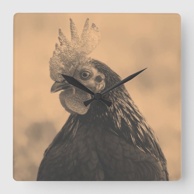 Rooster Portrait Square Wall Clock (Front)
