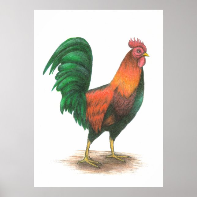 Rooster Poster (Front)