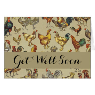 Rooster Poulet de la ferme Pays Animal