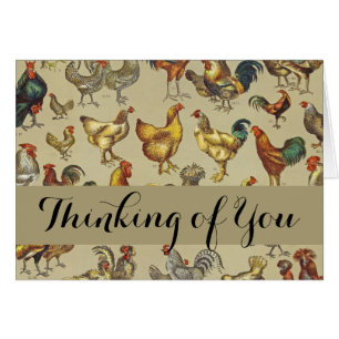 Rooster Poulet de la ferme Pays Animal