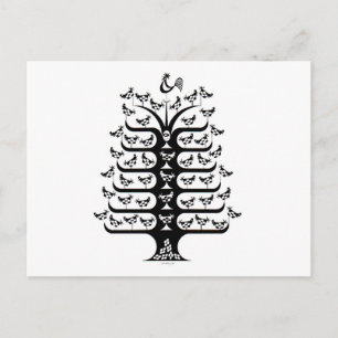 Rooster Rules the Roost Postcard