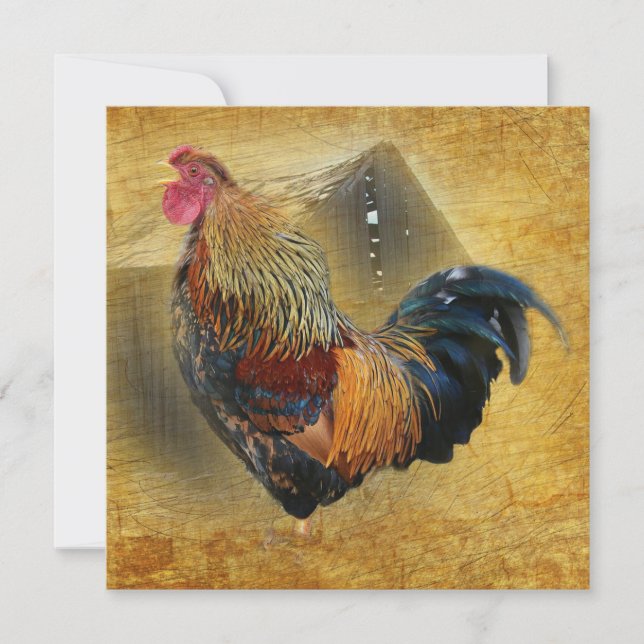 Rooster Rustic Barn Thank You Card (Front)